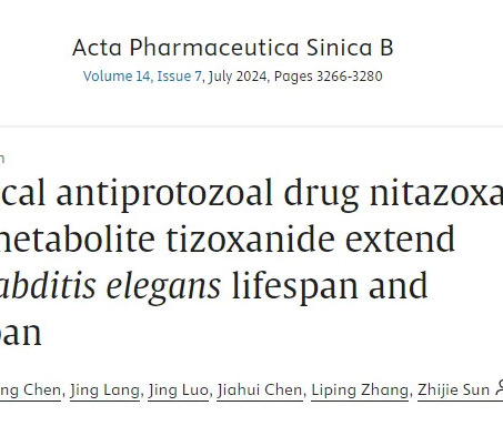 Une nouvelle étude - Nidazolide et Tizolide peuvent retarder le vieillissement et prolonger la vie
