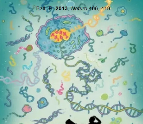 Glycobiologie – La « matière noire » des sciences de la vie