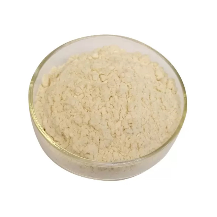 Acide N 4 Aminobenzoyl L Glutamique Acide Folique Cas 4271-30-1