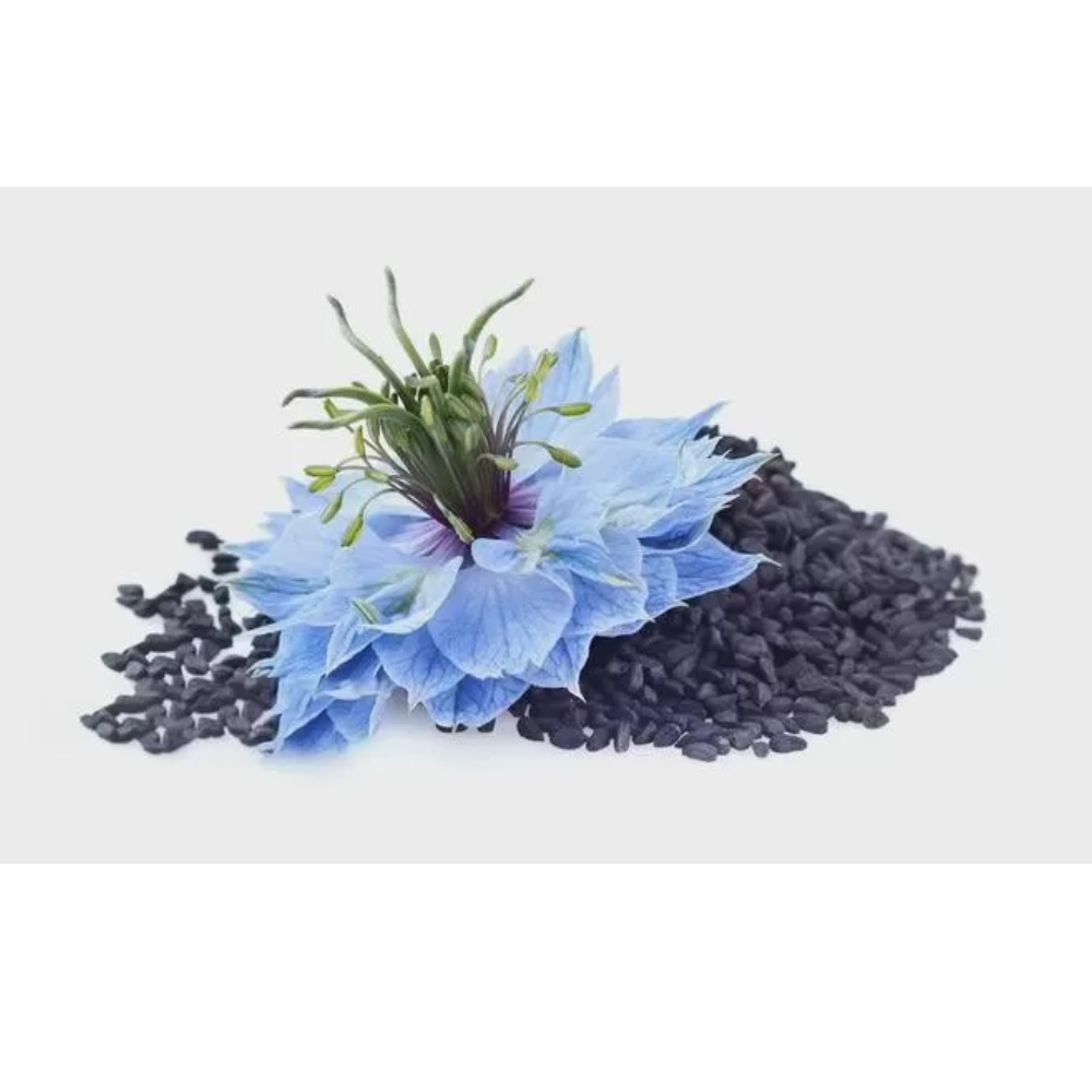 Extrait de poudre antioxydante Thymoquinone CAS 490-91-5 Nigella Sativa Phytochimique anti-cancer